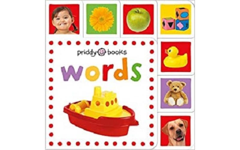 Mini Tab Books: Words