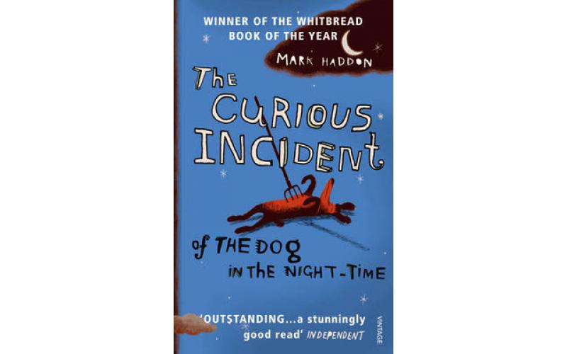 The Curious Incident of the Dog in the Night-time
