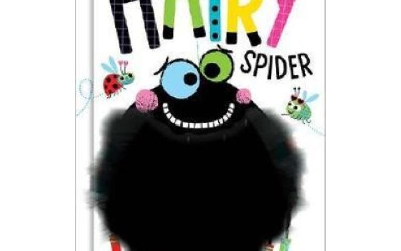 Not So Scary Hairy Spider