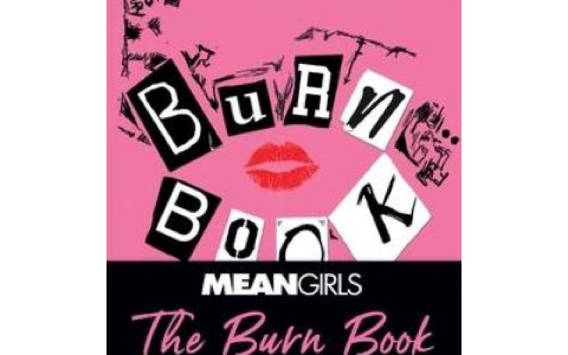 Mean Girls: The Burn Book Pocket Ruled Journal