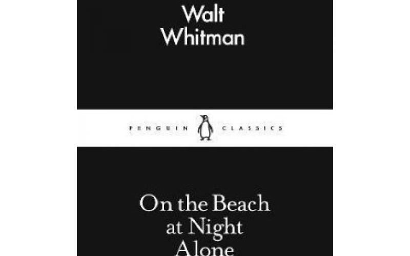 On The Beach At Night Alone
