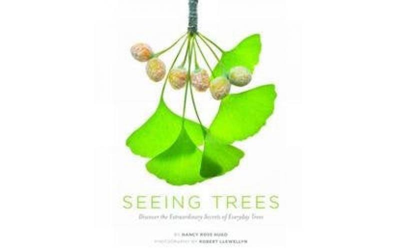 Seeing Trees