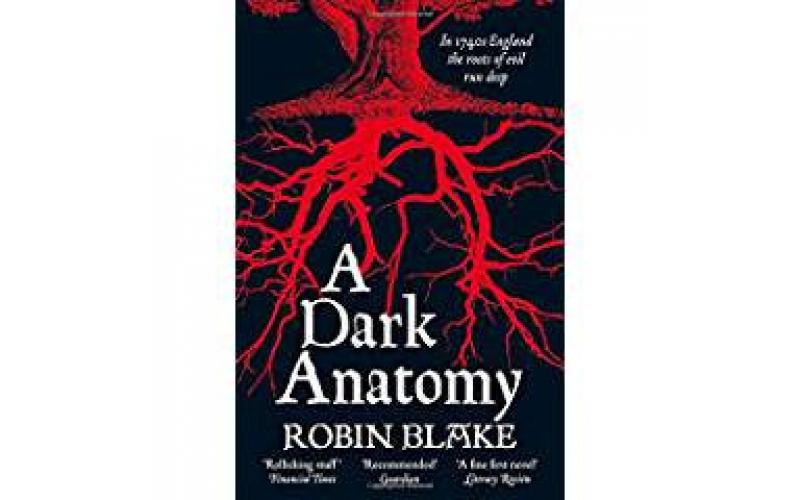 Dark Anatomy