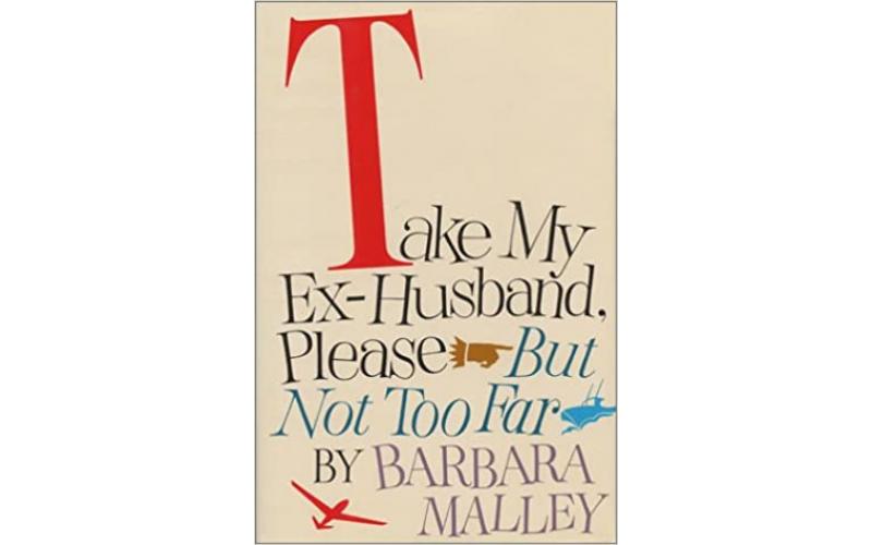 Take My Ex-Husband, Please But Not Too Far