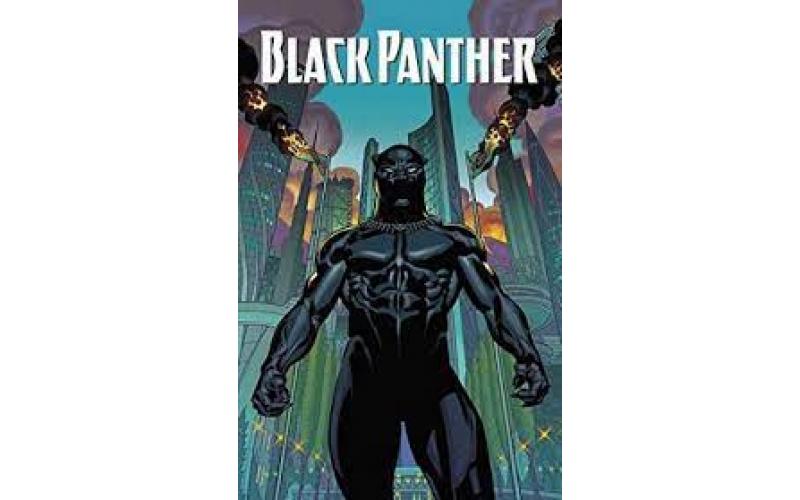 Black Panther: Nation Under Our Feet Book 1