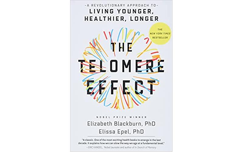 The Telomere Effect