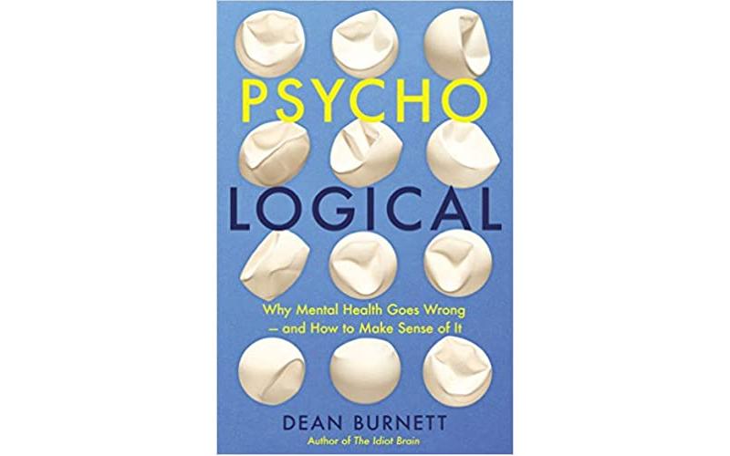 Psycho-Logical: Why Mental Health Goes Wrong – and How to Make Sense of It