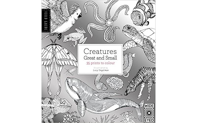 Field Guide: Creatures Great and Small