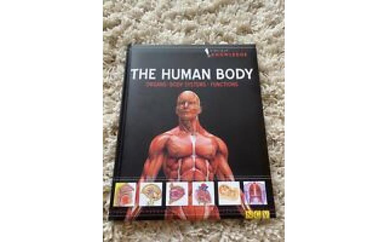 THE HUMAN BODY Organs Body Systems Function