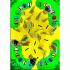Jumbo Where is the Ostrich Memory Board Game - Age 3 & Up