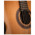 Córdoba C7 | Guitars, Ukuleles & Ouds | Classical | Classical & Flamenco