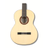 Córdoba C5-SP with Deluxe Bag | Guitars, Ukuleles & Ouds | Classical | Classical & Flamenco Córdoba C5-SP with Deluxe Bag | Guitars, Ukuleles & Ouds | Classical | Classical & Flamenco