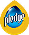 Pledge