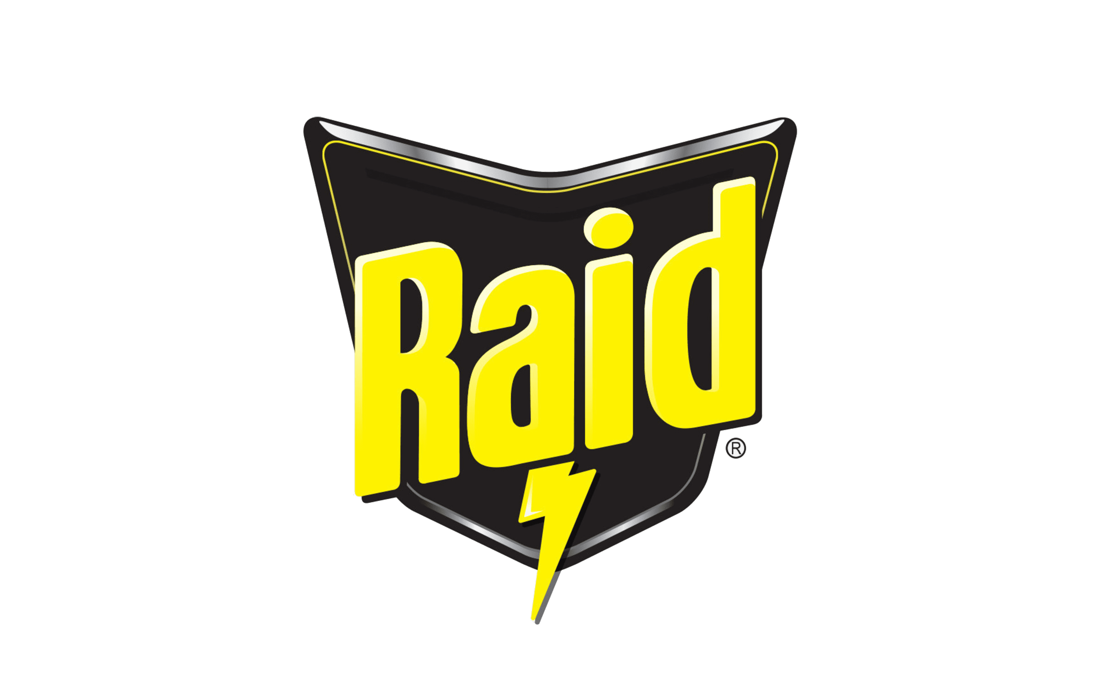 Raid