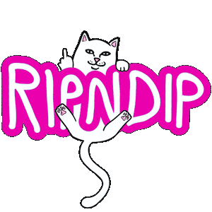 RIPNDIP